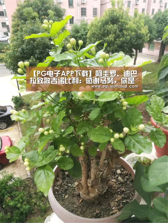 【PG电子APP下载】阿圭罗、迪巴拉致敬吉诺比利:感谢马努,你是阿根廷的骄傲(图4) PG电子APP下载